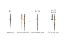 Load image into Gallery viewer, Denco Pro-Flexi Files