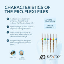 Load image into Gallery viewer, Denco Pro-Flexi Files