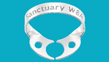Load image into Gallery viewer, Sanctuary Dental Dam Wingless Clamps