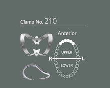 Load image into Gallery viewer, Sanctuary Dental Dam Clamps with Organizer