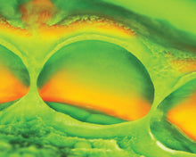 Load image into Gallery viewer, Zhermack Elite HD+ Putty Soft