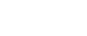 Acme Online Mall