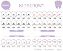 Load image into Gallery viewer, Shinhung Kids SSC Kit
