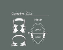 Load image into Gallery viewer, Sanctuary Dental Dam Clamps with Organizer
